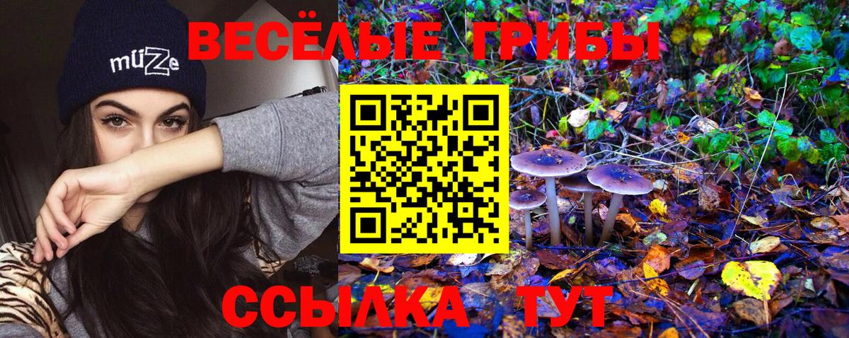 Галлюциногенные грибы ЛСД Кинель