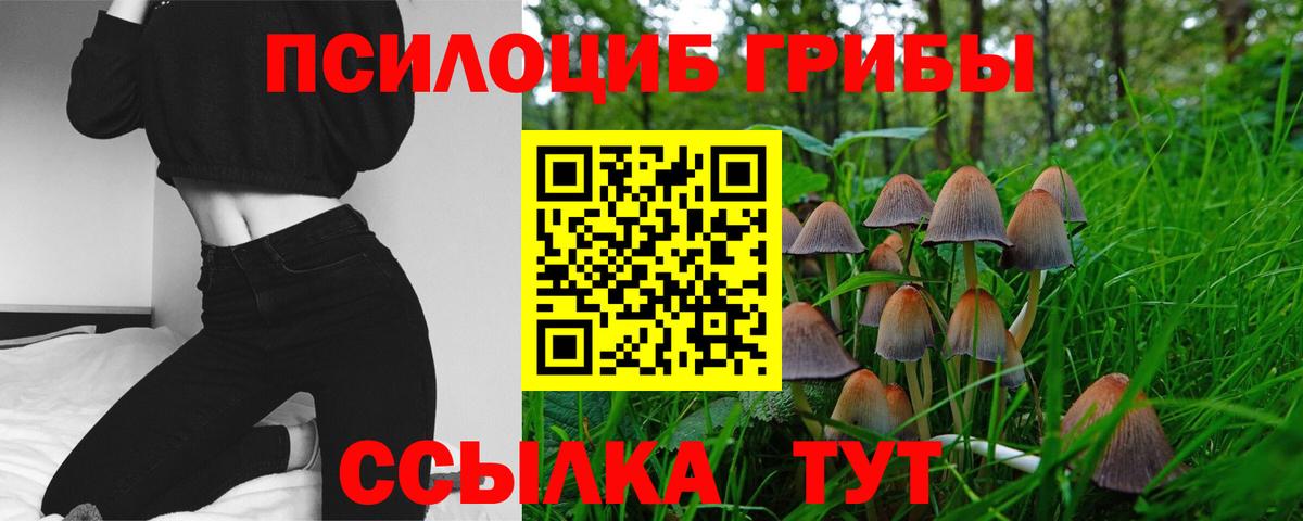 сколько стоит  Вход с VPN  Кинель  Псилоцибиновые грибы Cubensis 